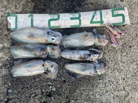 2025 佐渡ヶ島エギング Vol.18【…